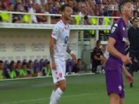 ������� ��������VS���� 20240902