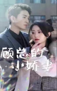 ���ܵ�С����