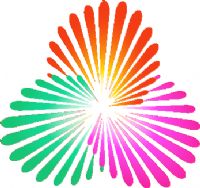 ȫ˻Ů ɽ80.5920250822