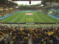 �������� ����VS��� 20250316