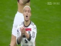 Ӣ������ ����ķVS��˹��ά�� 20241019