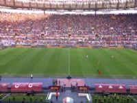 ������� ����VS�������� 20241110