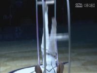 NBA������ ɭ����VS�Ʒ� 20250306