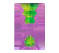 �������ޱ������� ����vs������20250817