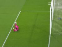 �������� ��ά����VS��˹������˹ 20250514