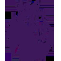 Ӣ������ ����VS������20260108