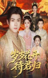 ���껨��������